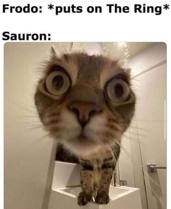Frodo: *puts on The Ring* Sauron: