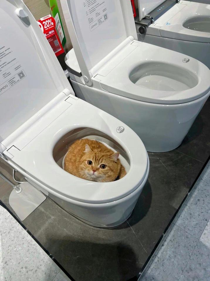 2 venes, wenes. ● 一级能效商品 20% 悦二维 WORK ESCOR OMOO 999 " JOMOO