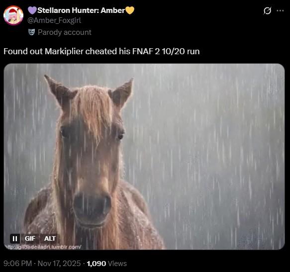 Stellaron Hunter: Amber @Amber_Foxgirl Parody account Found out Markiplier cheated his FNAF 2 10/20 run II GIF ALT http://gilladeiladri.tumblr.com/ 9:06 PM - Nov 17, 2025 1,090 Views