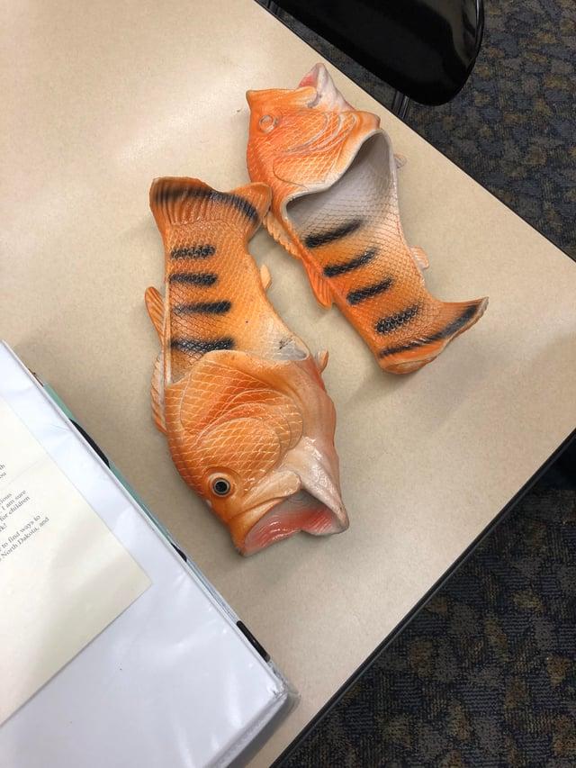 bu h k! ious I am sure for children to find ways to North Dakota, and