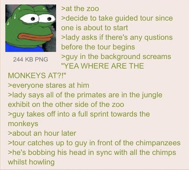 244 KB PNG >at the zoo >decide to take guided tour since one is about to start >lady asks if there's any qustions before the tour begins >guy in the background screams "YEA WHERE ARE THE MONKEYS AT?!" >everyone stares at him >lady says all of the primates are in the jungle exhibit on the other side of the zoo >guy takes off into a full sprint towards the monkeys >about an hour later >tour catches up to guy in front of the chimpanzees >he's bobbing his head in sync with all the chimps whilst howling