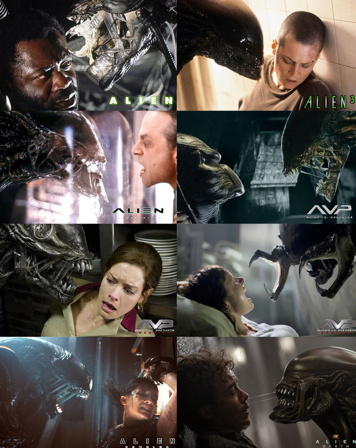 ALIEN ALIEN3 ALIEN RG & An FC Tin AVP ALIEN VS. PREDATOR ALIENS VS PREDATOR A ALIENS VS PREDATOR ALIEN R M MLMS FX ALIEN EARTH