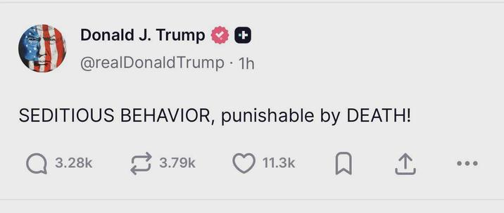 Donald J. Trump + @realDonaldTrump • 1h SEDITIOUS BEHAVIOR, punishable by DEATH! Q 3.28k 3.79k 11.3k ធ I