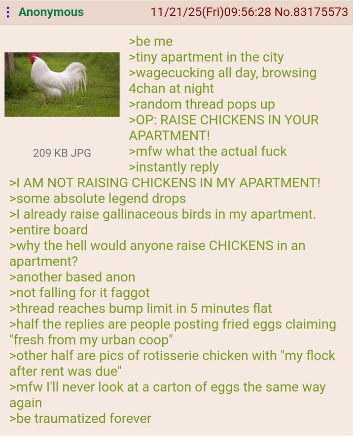 Anonymous 209 KB JPG 11/21/25(Fri) 09:56:28 No.83175573 >be me >tiny apartment in the city >wagecucking all day, browsing 4chan at night >random thread pops up >OP: RAISE CHICKENS IN YOUR APARTMENT! >mfw what the actual f--- >instantly reply >I AM NOT RAISING CHICKENS IN MY APARTMENT! >some absolute legend drops >I already raise gallinaceous birds in my apartment. >entire board >why the hell would anyone raise CHICKENS in an apartment? >another based anon >not falling for it f----- >thread reaches bump limit in 5 minutes flat >half the replies are people posting fried eggs claiming "fresh from my urban coop" >other half are pics of rotisserie chicken with "my flock after rent was due" >mfw I'll never look at a carton of eggs the same way again >be traumatized forever
