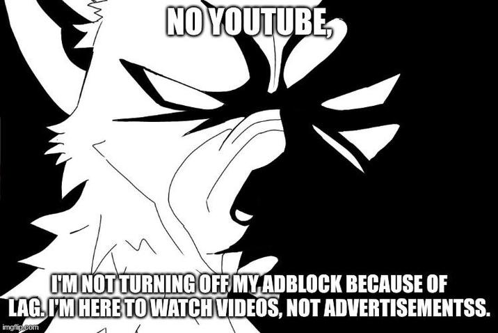 NO YOUTUBE I'M NOT TURNING OFF MY ADBLOCK BECAUSE OF LAG. I'M HERE TO WATCH VIDEOS, NOT ADVERTISEMENTSS. imgflip.com