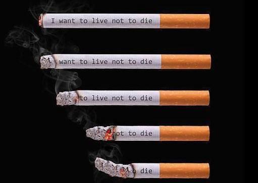 I want to live not to die want to live not to die to live not to die hot to die die