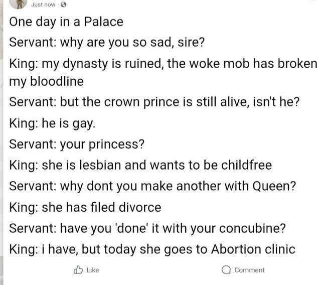 Just now One day in a Palace Servant: why are you so sad, sire? King: my dynasty is ruined, the woke mob has broken my bloodline Servant: but the crown prince is still alive, isn't he? King: he is gay. Servant: your princess? King: she is lesbian and wants to be childfree Servant: why dont you make another with Queen? King: she has filed divorce Servant: have you 'done' it with your concubine? King: i have, but today she goes to Abortion clinic Like Comment
