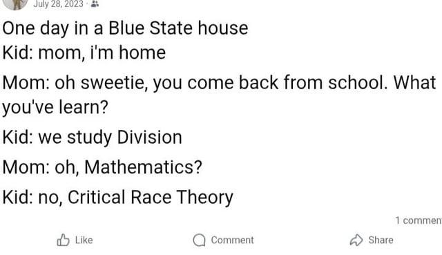 July 28, 2023 One day in a Blue State house Kid: mom, i'm home Mom: oh sweetie, you come back from school. What you've learn? Kid: we study Division Mom: oh, Mathematics? Kid: no, Critical Race Theory Like 1 comment Comment Share