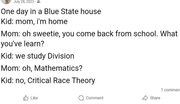 July 28, 2023 One day in a Blue State house Kid: mom, i'm home Mom: oh sweetie, you come back from school. What you've learn? Kid: we study Division Mom: oh, Mathematics? Kid: no, Critical Race Theory Like 1 comment Comment Share