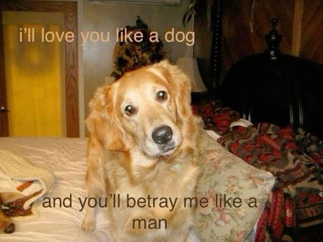 i'll love you like a dog and you'll betray me like a man