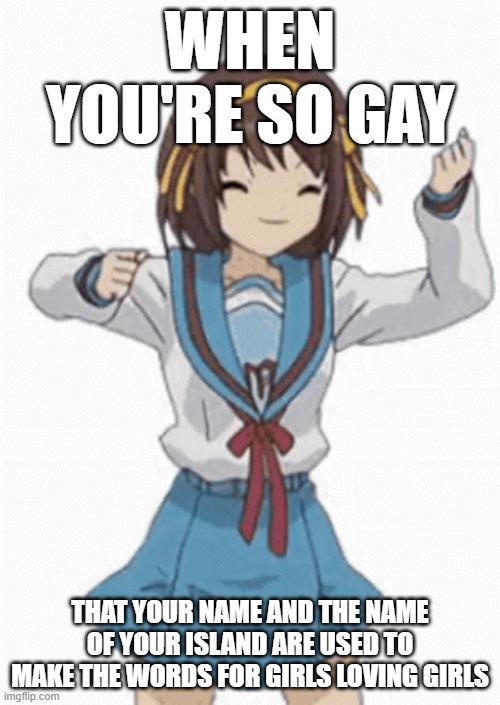 WHEN YOU'RE SO GAY THAT YOUR NAME AND THE NAME OF YOUR ISLAND ARE USED TO MAKE THE WORDS FOR GIRLS LOVING GIRLS imgflip.com