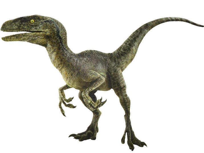 Velociraptor blue render | Jurassic Park | Know Your Meme