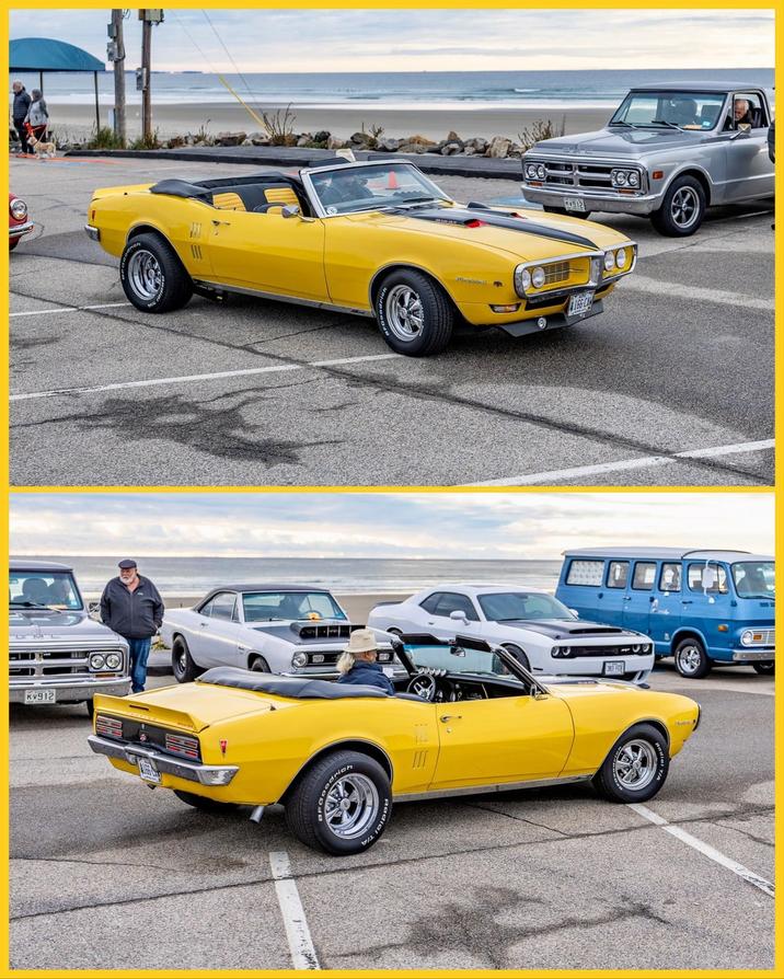 KV912 odrich e dial Tra 4