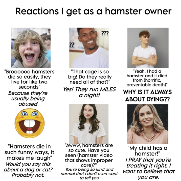 Reactions I get as a hamster owner ?? ??? "Broooooo hamsters die so easily, they live for like two seconds" Because they're usually being abused "That cage is so big! Do they really need all of that?" Yes! They run MILES a night! "Yeah, I had a hamster and it died from (horrific, preventable death)" WHY IS IT ALWAYS ABOUT DYING?? ע "Hamsters die in such funny ways, it makes me laugh" Would you say this about a dog or cat? Probably not. "Awww, hamsters are so cute. Have you seen (hamster video that shows improper care)?" You're being so kind and normal that I don't even want to tell you "My child has a hamster!" I PRAY that you're treating it right. I want to believe that you are.