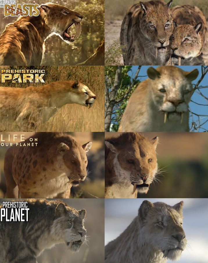 WALKING VITH BEASTSS PREHISTORIC PARK LIFE ON OUR PLANET PREHISTORIC PLANET