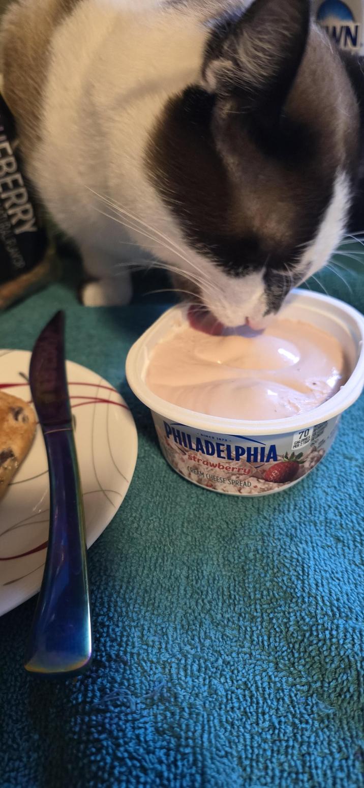 BERRY TRAL FLAVOR WN PHILADELPHIA strawberry CREAM CHEESE SPREAD 70 CALORIES PER 2 TBSP