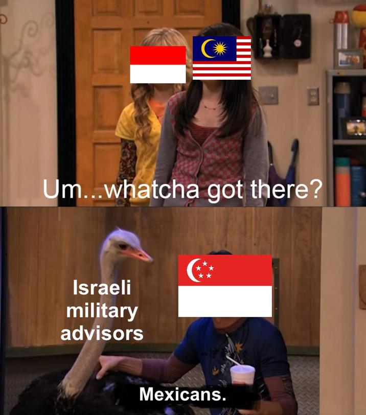 Um...whatcha got there? Israeli military advisors Mexicans.