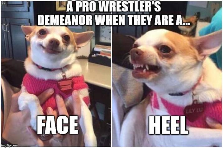 imgflip.com LA PRO WRESTLER'S DEMEANOR WHEN THEY ARE A... LILY LU FACE HEEL