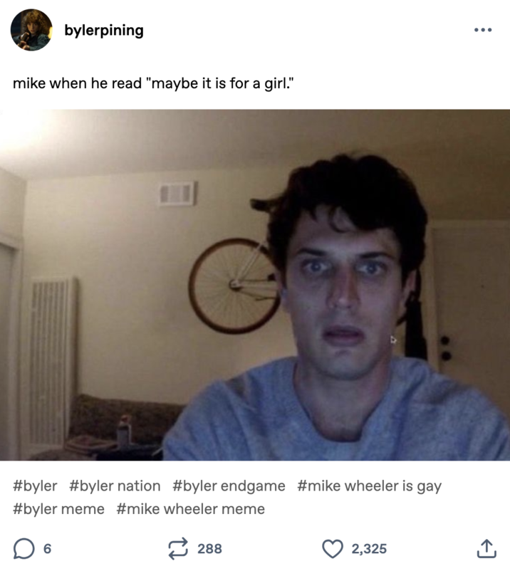 Tumblr user @bylerpining posted a "Guy Staring into Webcam" meme alongside a _Stranger Things_ themed post that read, "mike when he read 'maybe it is for a girl.'"