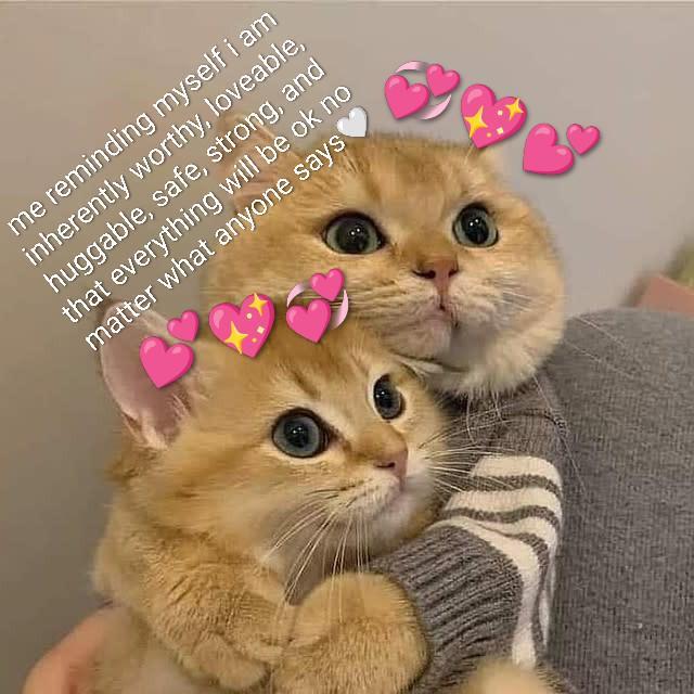 me reminding myself i am inherently worthy, loveable, huggable, safe, strong, and that everything will be ok no matter what anyone says