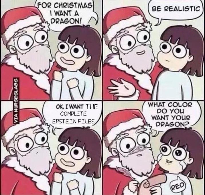 VIA NURSESLABS FOR CHRISTMAS I WANT A DRAGON! BE REALISTIC OK, I WANT THE COMPLETE EPSTEIN FILES WHAT COLOR DO YOU WANT YOUR DRAGON? Ш RED