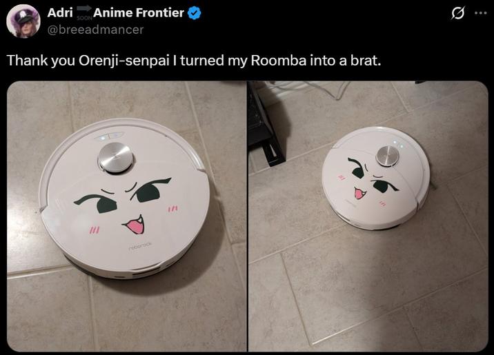 A Roomba with the brat face.
