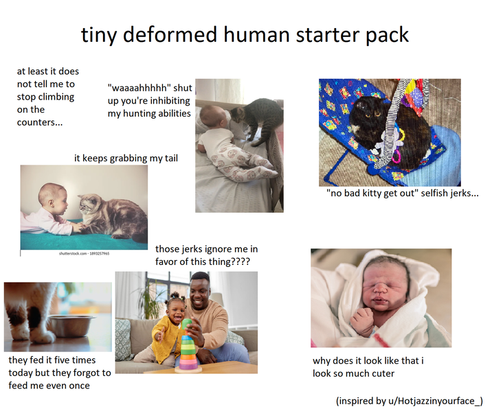 tiny deformed human starter pack at least it does not tell me to stop climbing on the counters... "waaaahhhhh" shut up you're inhibiting my hunting abilities it keeps grabbing my tail shutterstock.com. 1893257965 those jerks ignore me in favor of this thing???? "no bad kitty get out" selfish jerks... they fed it five times today but they forgot to feed me even once why does it look like that i look so much cuter (inspired by u/Hotjazzinyourface_)