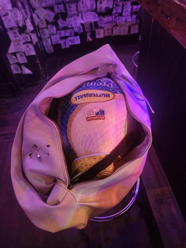 FASY OPEN BAG No Knives Scissors Or Sc Needed BUTTERBALL Prem 840