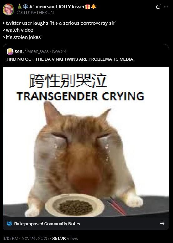 A tweet responding to the Da Vinki twins content thief allegations. They don't seem to care.