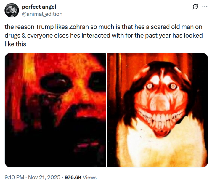 X user @animal_edition tweeted, "the reason Trump likes Zohran so much is that hes a scared old man on drugs & everyone elses hes interacted with for the past year has looked like this," alongside two altered, scary-looking red-tinted images.