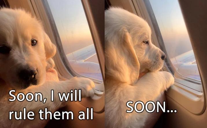 Soon, I will rule them all SOON...
