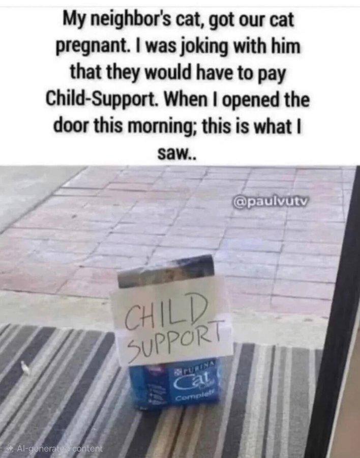 My neighbor's cat, got our cat pregnant. I was joking with him that they would have to pay Child-Support. When I opened the door this morning; this is what I saw.. Al-generated content CHILD SUPPORT PURINA Cat Complet @paulvutv