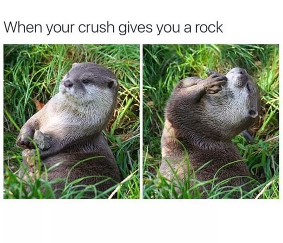 When your crush gives you a rock