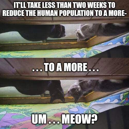 IT'LL TAKE LESS THAN TWO WEEKS TO REDUCE THE HUMAN POPULATION TO A MORE- imgflip.com TO A MORE... UM... MEOW?