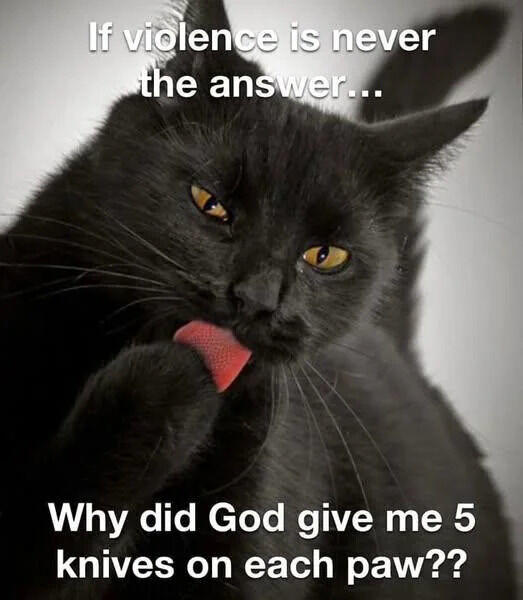 If violence is never the answer... Why did God give me 5 knives on each paw??