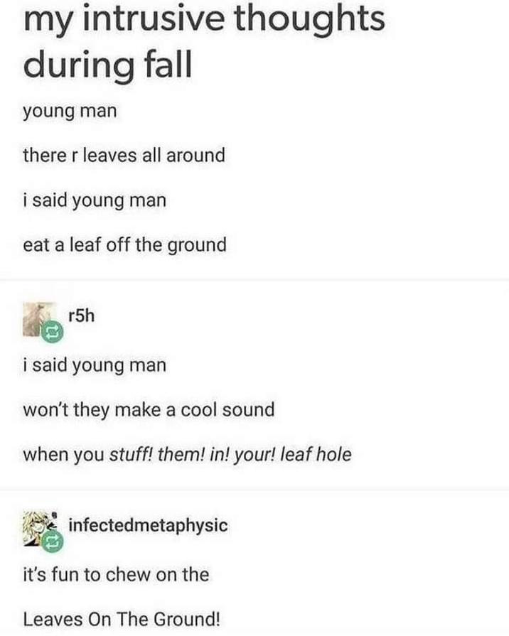 my intrusive thoughts during fall young man there r leaves all around i said young man eat a leaf off the ground r5h i said young man won't they make a cool sound when you stuff! them! in! your! leaf hole infectedmetaphysic it's fun to chew on the Leaves On The Ground!