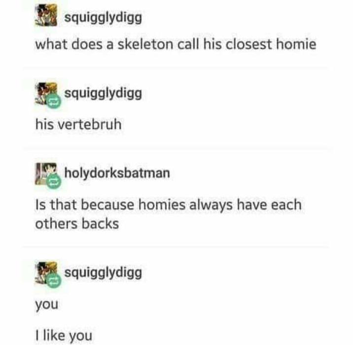 squigglydigg what does a skeleton call his closest homie squigglydigg his vertebruh holydorksbatman Is that because homies always have each others backs you squigglydigg I like you
