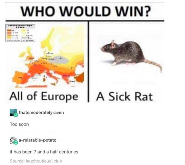 WHO WOULD WIN? All of Europe A Sick Rat thatsmoderatelyraven Too soon a-relatable-potato it has been 7 and a half centuries Source: laughoutloud-club