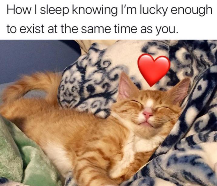 How I sleep knowing I'm lucky enough to exist at the same time as you.