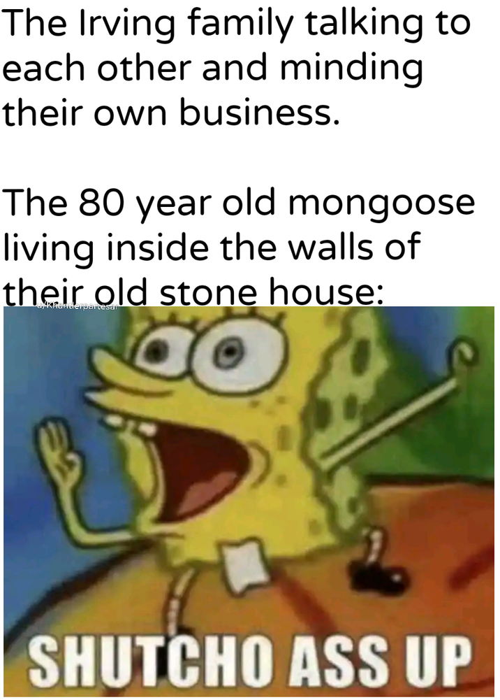 The Irving family talking to each other and minding their own business. The 80 year old mongoose living inside the walls of their old stone house: SHUTCHO ASS UP