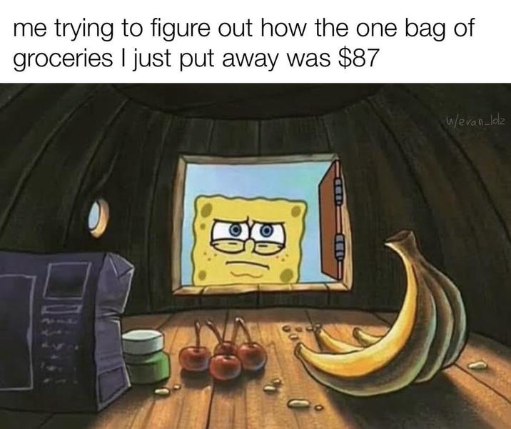 me trying to figure out how the one bag of groceries I just put away was $87 B w/evan-lolz