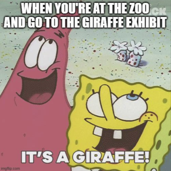 CK WHEN YOU'RE AT THE ZOO AND GO TO THE GIRAFFE EXHIBIT imgflip.com IT'S A GIRAFFE!