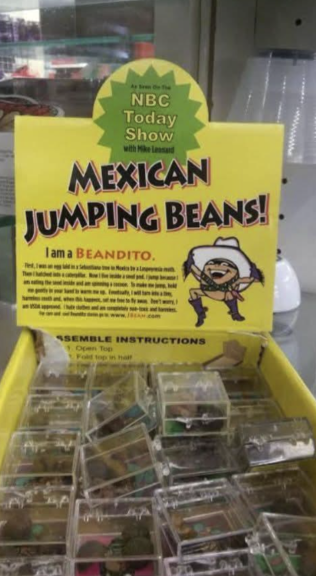 wwwwwwwwww As Seen On The NBC Today Show with Mike Leonard MEXICAN JUMPING BEANS! I am a BEANDITO. SSEMBLE INSTRUCTIONS 1. Open Top Fold top in half