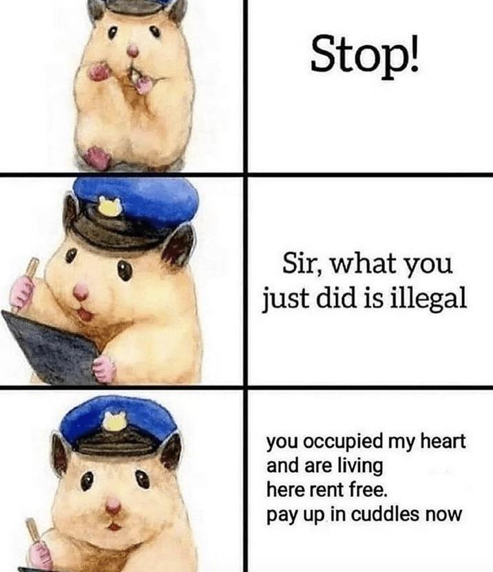 Stop! Sir, what you just did is illegal you occupied my heart and are living here rent free. pay up in cuddles now