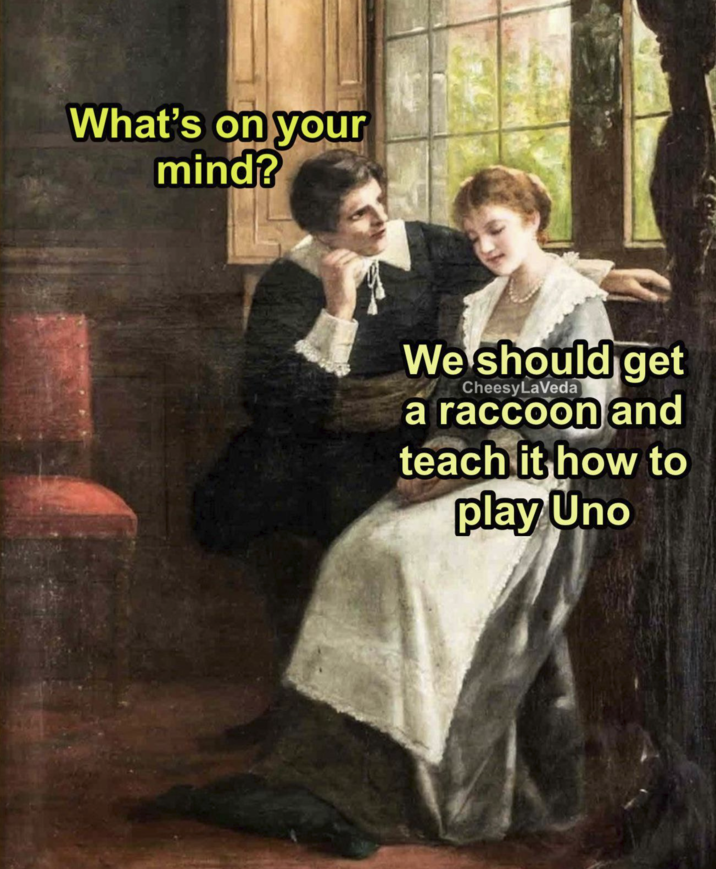 What's on your mind? We should get CheesyLaVeda a raccoon and teach it how to play Uno