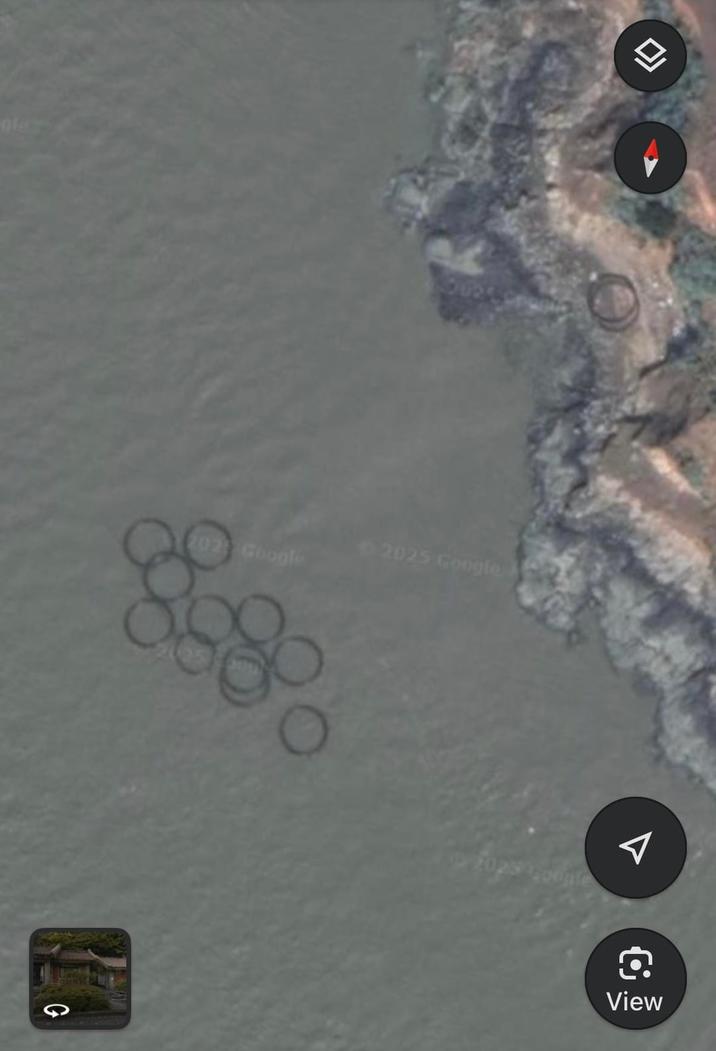 ofe 202 Google 2025 Google G Google Ô View