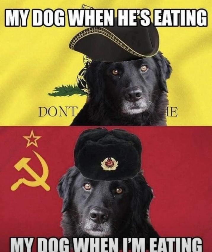 MY DOG WHEN HE'S EATING DONT IE 2 MY DOG WHEN I'M EATING