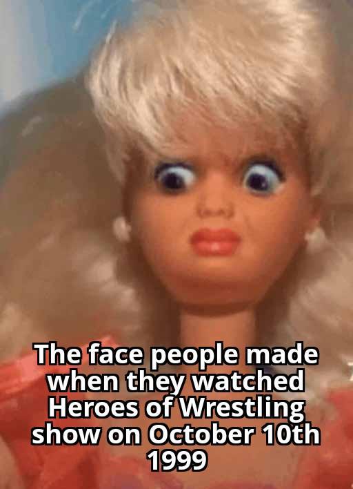 0 The face people made when they watched Heroes of Wrestling show on October 10th 1999
