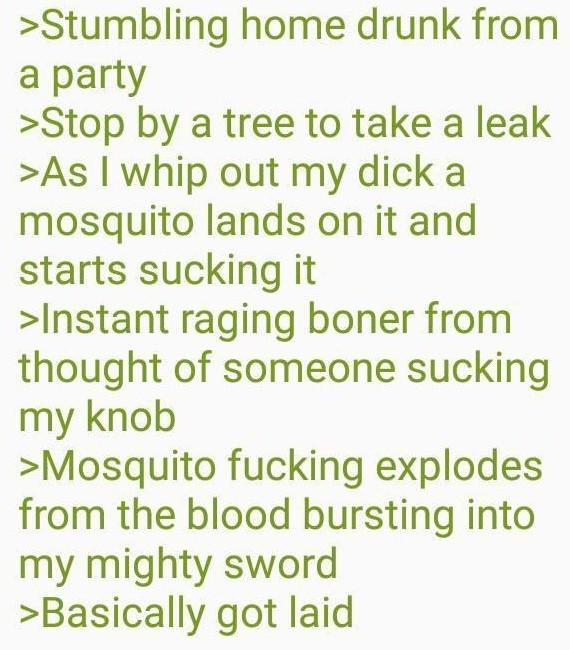 >Stumbling home drunk from a party >Stop by a tree to take a leak >As I whip out my d--- a mosquito lands on it and starts sucking it >Instant r----------- from thought of someone sucking my knob >Mosquito f------ explodes from the blood bursting into my mighty sword >Basically got laid