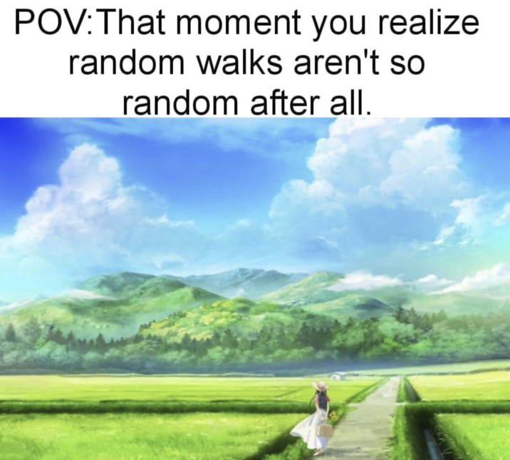 POV: That moment you realize random walks aren't so random after all.